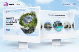 W1SE Castle UX/UI | Development